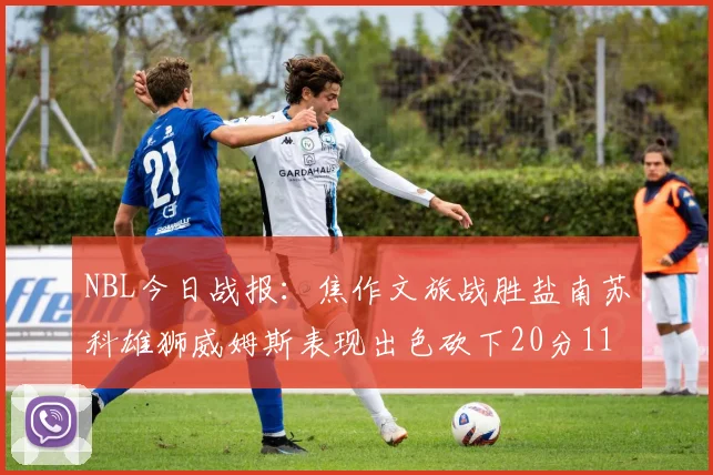 NBL今日战报：焦作文旅战胜盐南苏科雄狮威姆斯表现出色砍下20分11篮板