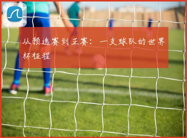从预选赛到正赛：一支球队的世界杯征程